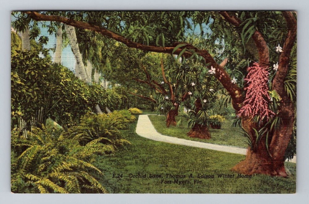 Florida FL Fort Myers Orchid Lane Thomas A Edison Winter Home Vintage Postcard
