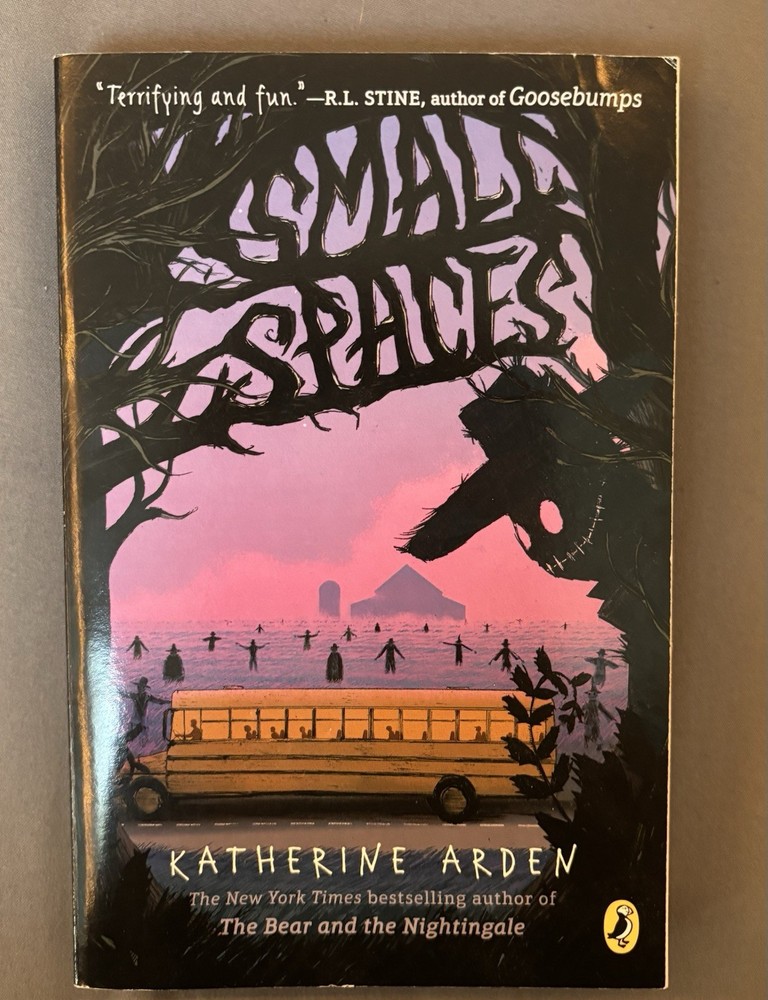 NEW Small Spaces by Katherine Arden Paperback Book