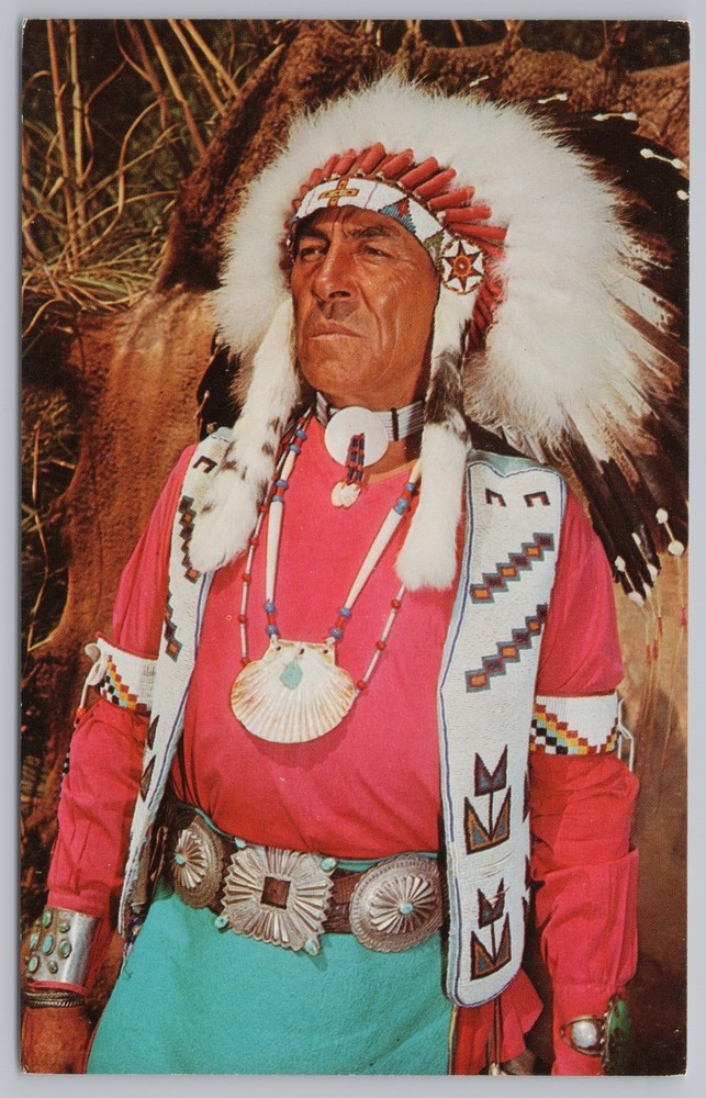 Native Americana Indian~Indian Chief~Vintage Postcard
