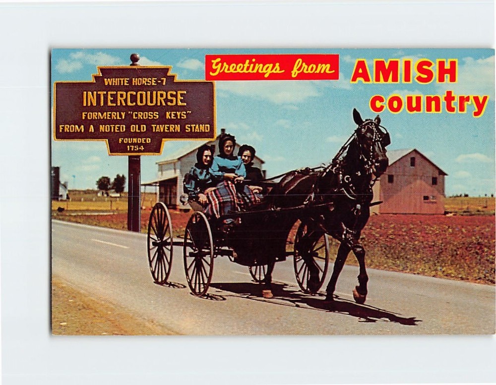 Postcard Amish Girls in Horse & Buggy Intercourse Pennsylvania USA