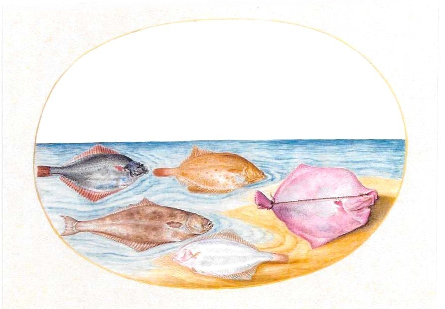 NEW Retro Postcard Colorful Fish Ocean Sea Creatures Swimming Together