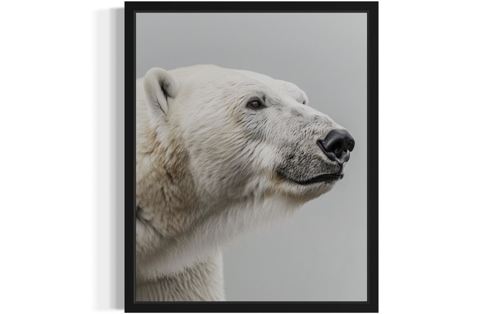 Polar Bear Animal Wildlife Photo Art Print Poster Wall Art Painting