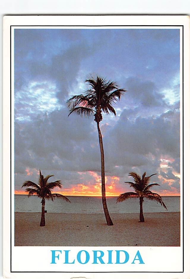 Postcard Sunrise Scene in Florida USA