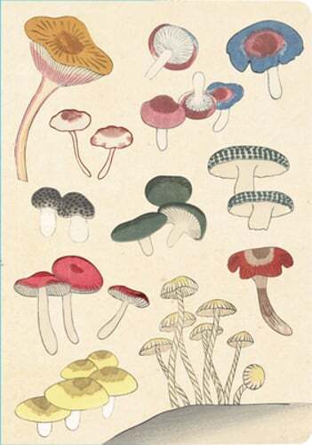 Healing Mushrooms Lined Paperback Journal: Blank Notebook with Pocket: New