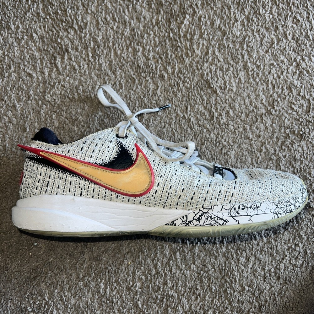 Size 9.5 - Nike LeBron 20 The Debut 2022