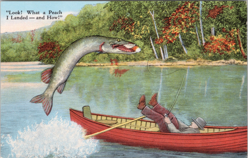Comic Exaggeration Fisherman Look What A Peach I Landed Linen Postcard