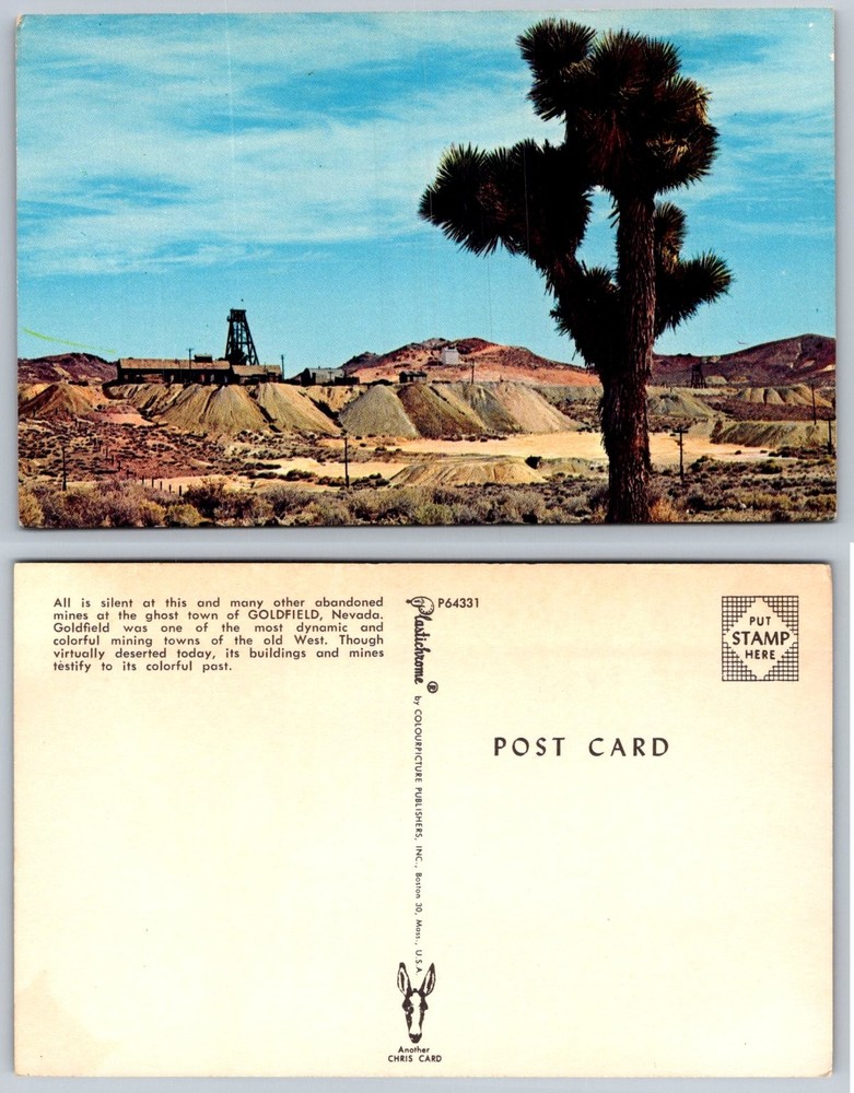 Goldfield Nevada Ghost Town Mining Joshua Tree Plastichrome Postcard