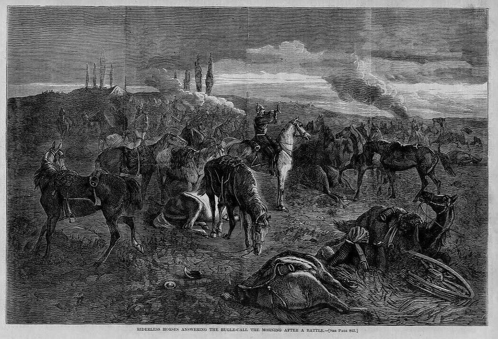 RIDERLESS HORSES ANSWERING-BUGLE CALL AFTER THE BATTLE