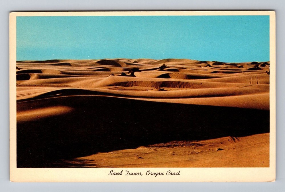 Oregon OR Florence Sand Dunes Coast Vintage Postcard
