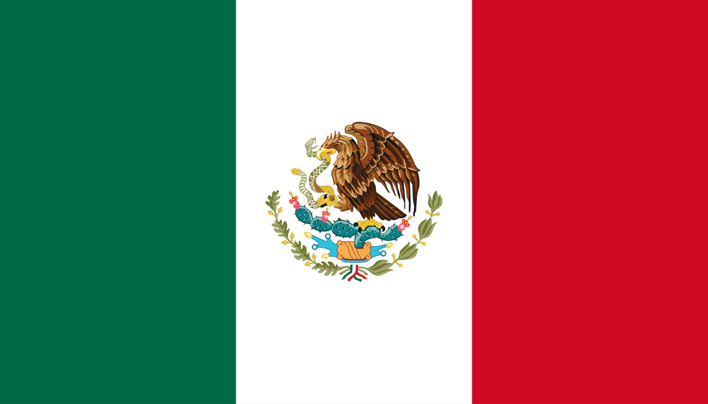 Mexico Flag Heavy Duty Magnet - 4