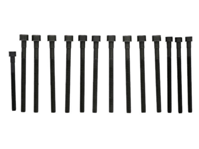 ELRING KLINGER 11127548799 Cylinder Head Bolt Set BMW 328i Z4 128i 328i xDrive