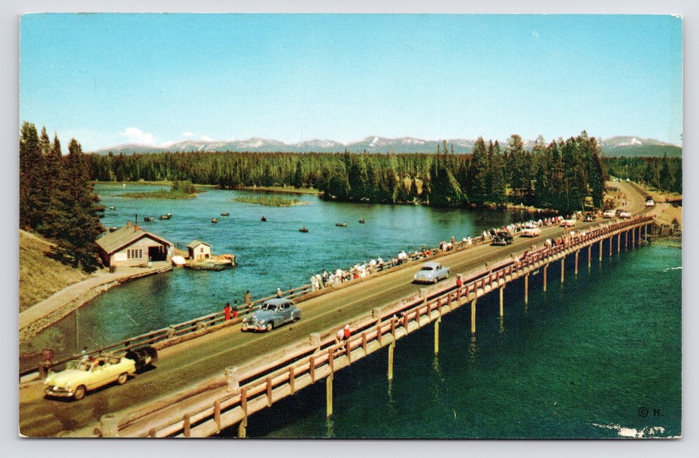 1950s Fishing Bridge Yellowstone National Park Aerial Cody Wyoming WY Postcard