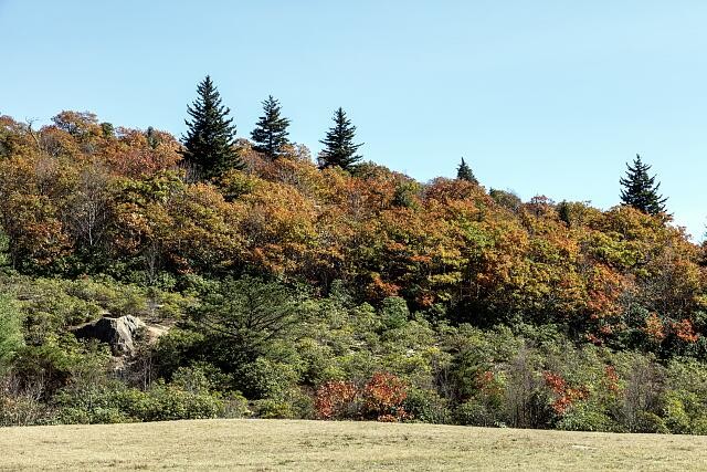 Hominy Valley Asheville Buncombe County North Carolina 2010s Autumn Landscape