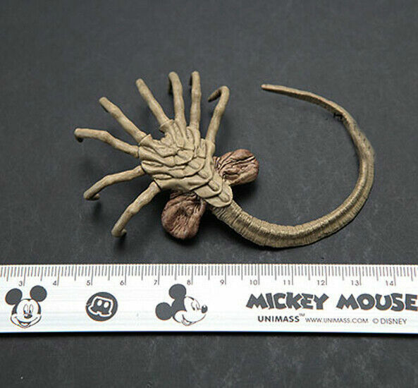 1/6 Scale Facehugger Alien Larvae AVP 12