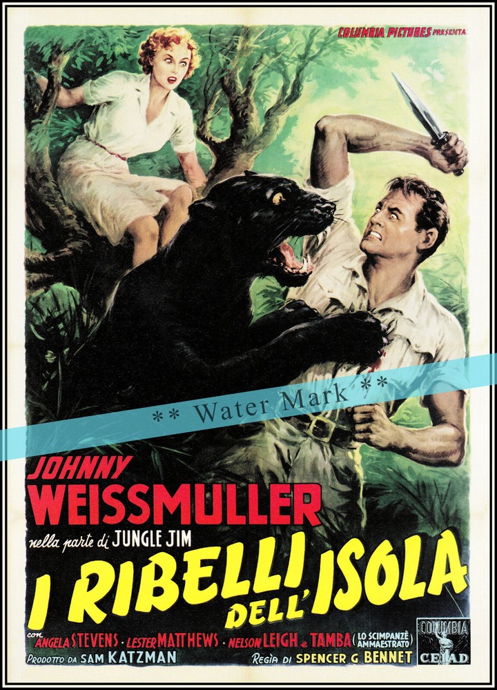 Savage Mutiny 1953 Movie Johnny Weissmuller Vintage Poster Print Retro Style Art