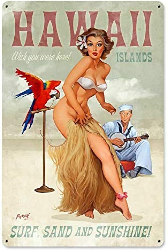 Tin Sign Vintage Chic Art Decoration Poster Pinup Girl Bird Navy Man Hawaii Isla