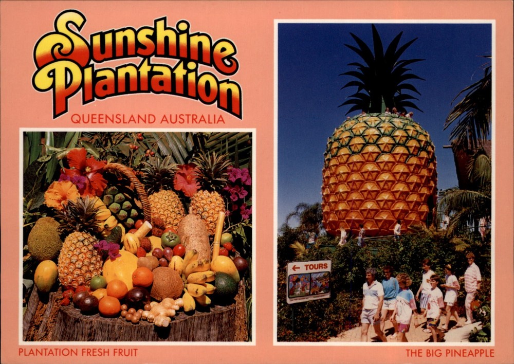 Sunshine Plantation Queensland Australia Big Pineapple vintage postcard a602
