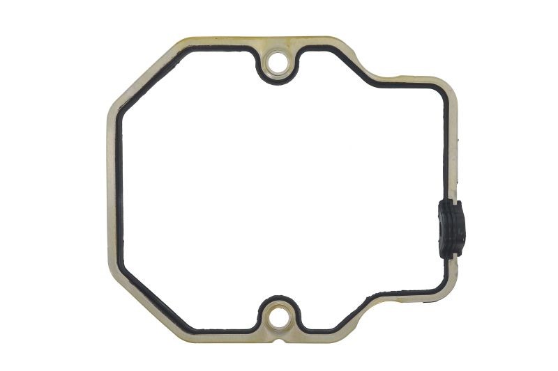 Valve Cover Gasket for MAN LION'S STAR, TGA; NEOPLAN SKYLINER, STARLINER