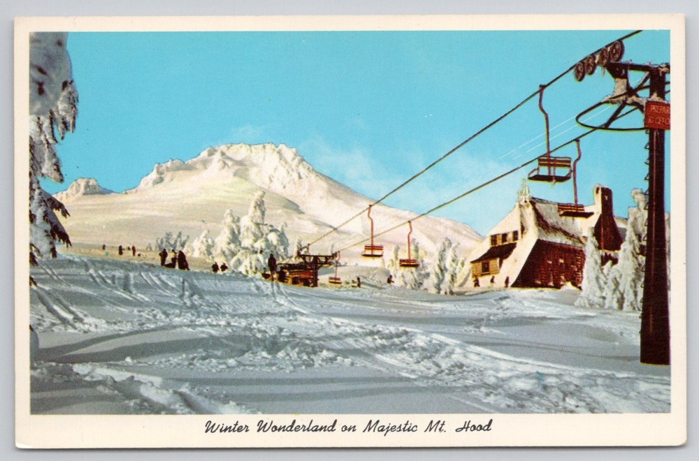 Vintage Mt. Hood Timberline Lodge Ski Lift Oregon Curteichcolor Postcard