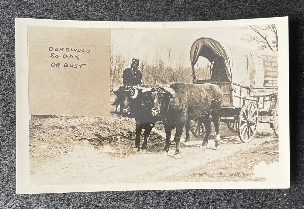Vintage RPPC Deadwood South Dakota OR BUST Postcard