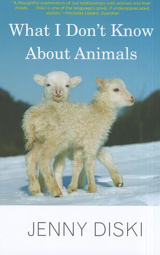 What I Don't Know About Animals - paperback Diski, Jenny