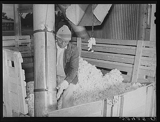 Hopson Plantation,Clarksdale,Coahoma County,Mississippi,MS,1939,FSA,Wolcott,3