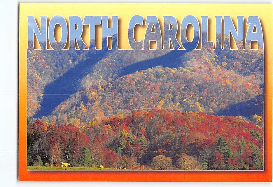 Postcard Pisgah National Forest at Crabtree Bald North Carolina USA