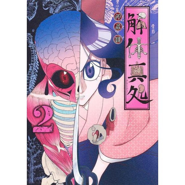 Kaitai Shindokoro 2 Young Jump Comics Comic Book Japan Import Excellent