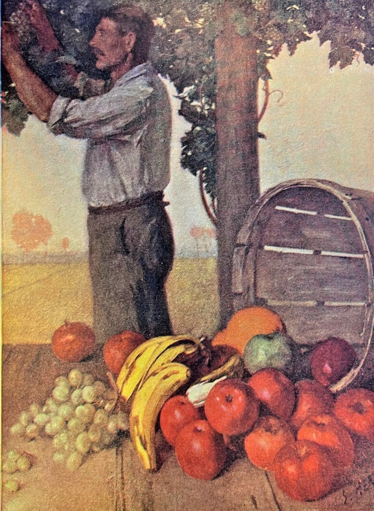 1907 Vintage Magazine Illustration Nature's Wealth by Emil Hering