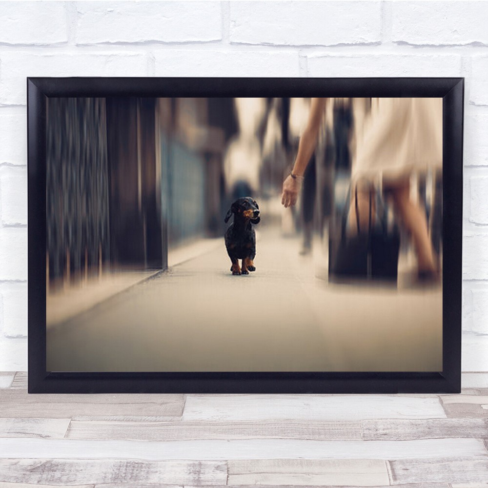 Sometimes We Need A Helping Hand City dogs Animals Creative Wall Art Print