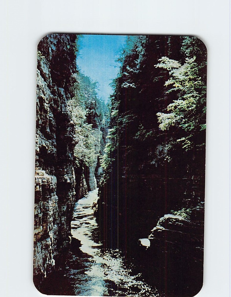 Postcard View from Table Rock In Famous Ausable Chasm New York USA