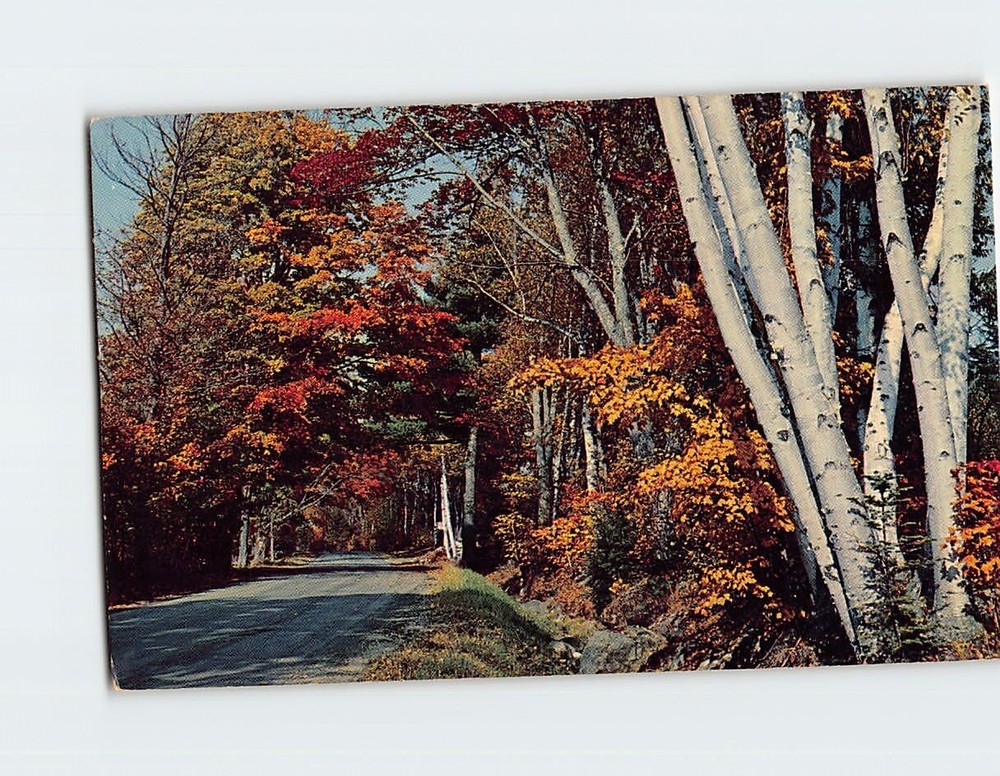 Postcard Fall In The Country
