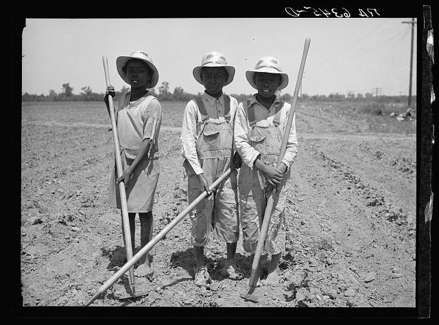 Photo:Marked Tree Arkansas 1936 Children Chopping Cotton Farm Labor