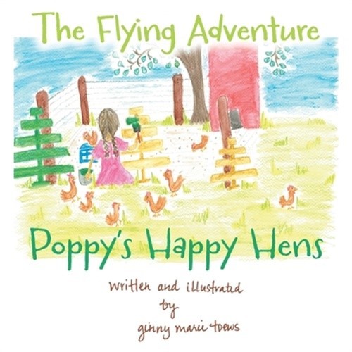 The Flying Adventure (Paperback or Softback)