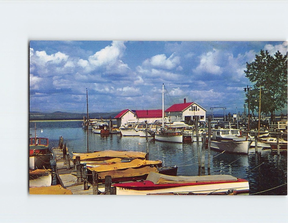 Postcard Burlington Yacht Basin Lake Champlain Vermont USA North America