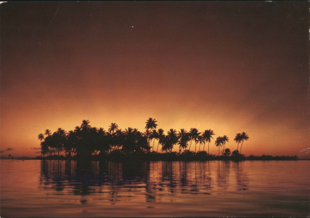 Bora-Bora, French Polynesia Motu Tapu, Bora-Bora Sunset with Palm Trees Postcard