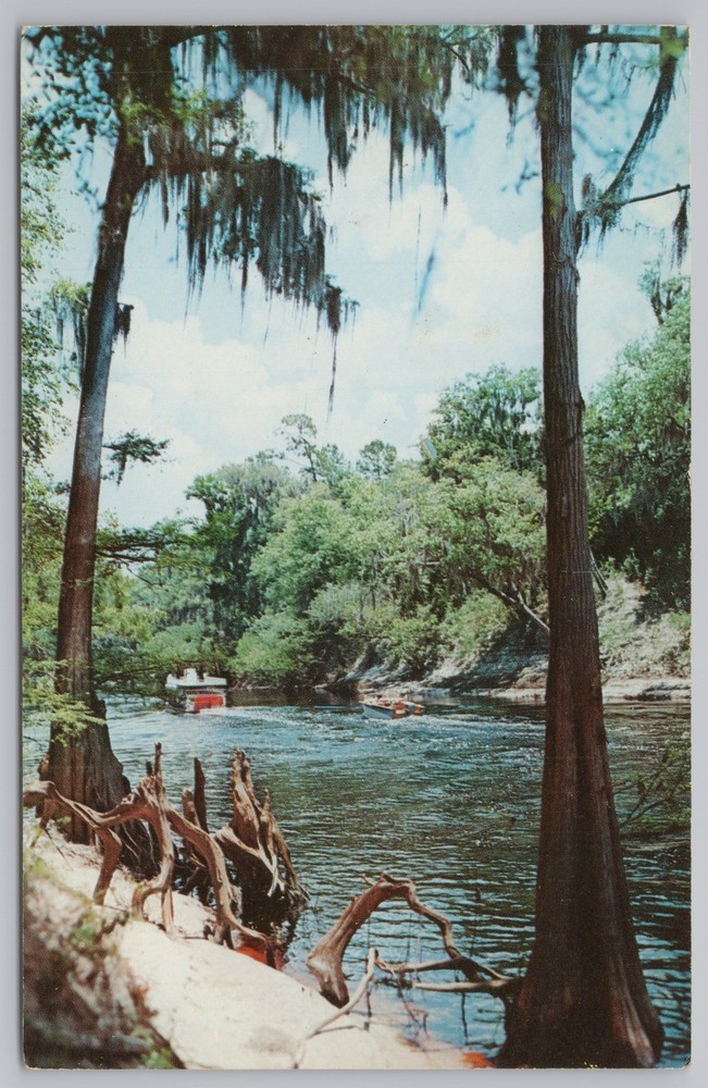State View~Boat On Suwannee River~Way Down Upon The Suwannee~Vintage Postcard