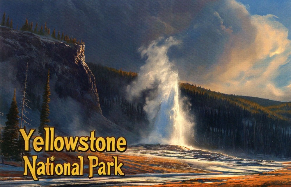 Yellowstone National Park, Wyoming --New POSTCARD