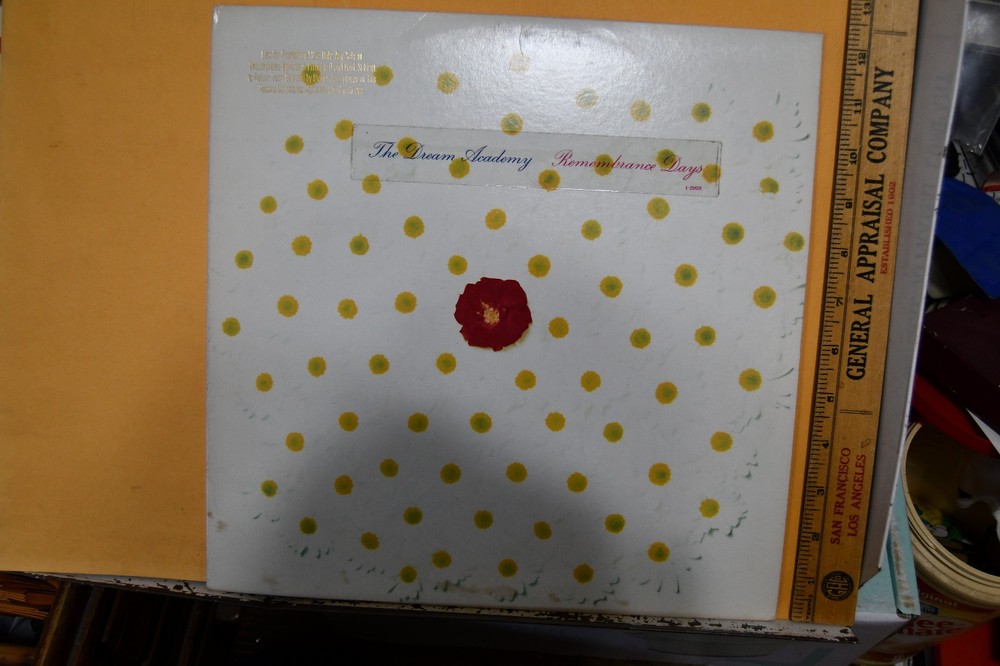 1987 The Dream Academy Reprise Promo Record Remembrance Days
