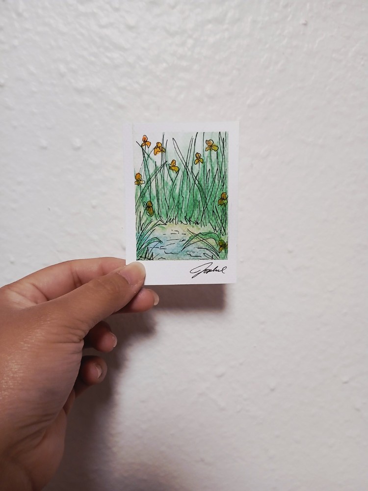 ACEO Art Card Original Watercolor+Ink Irises on the Riverbank. Signed by artist