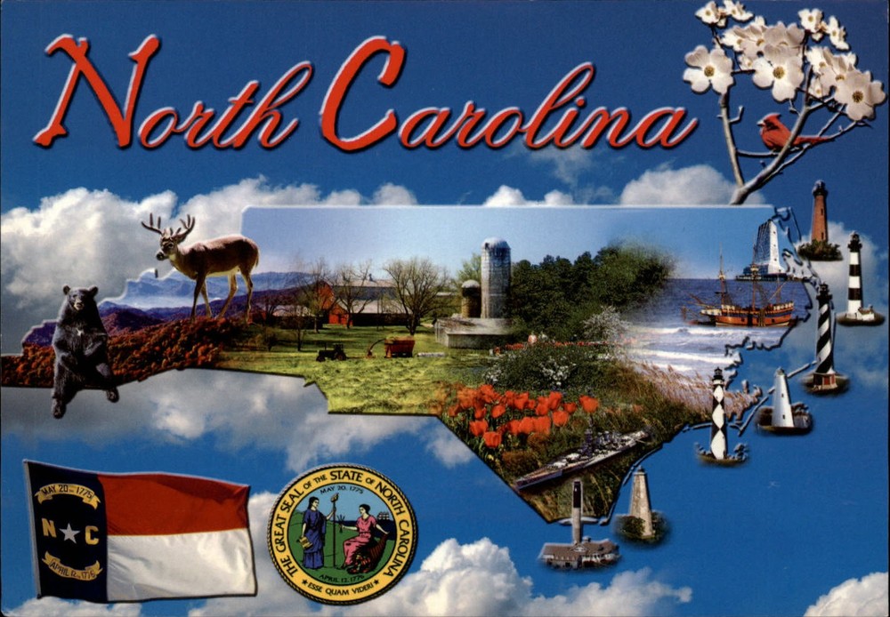 North Carolina Capitol Raleigh facts Flower Dogwood Bird Cardinal ~ postcard