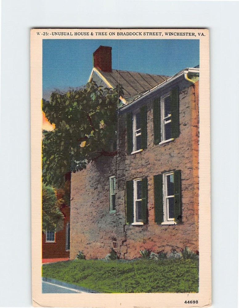 Postcard Unusual House & Tree On Winchester Virginia USA