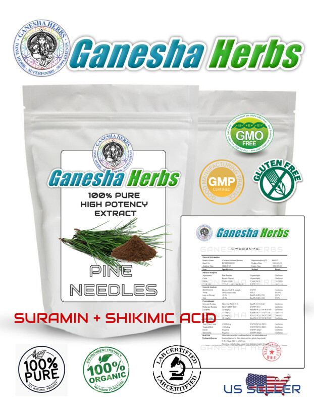 100% PURE PINE NEEDLE TEA CONCENTRATED EXTRACT POWDER SURAMIN SHIKIMIC ACID