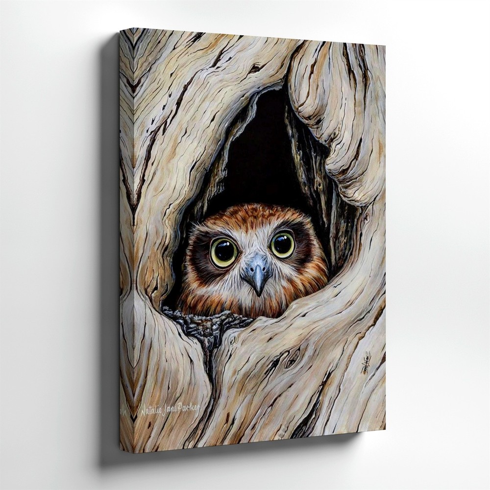 Wall Art Owl in Tree Hollow Wildlife Bird Portrait Rustic Nature Decor Print