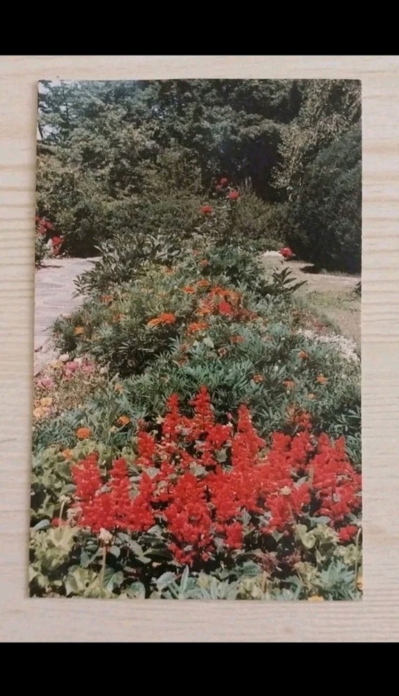 Oak Hill Gardens Flowers Berry College~ Mount Berry Georgia GA~ Vintage Postcard
