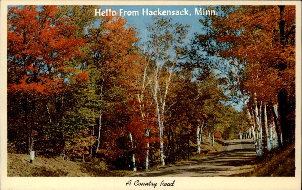 Hackensack Minnesota Country Road autumn foliage birch ~ unused postcard sku245
