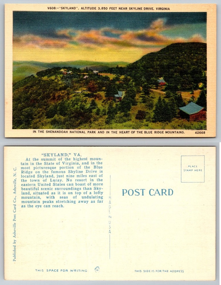 Vintage Skyland Virginia Postcard Shenandoah National Park Blue Ridge Mts