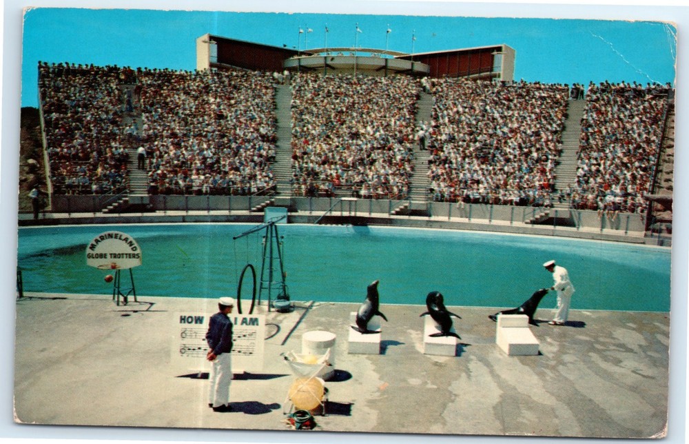 Vintage Postcard Sea Arena From Backstage Marineland Of the Pacific Oceanarium