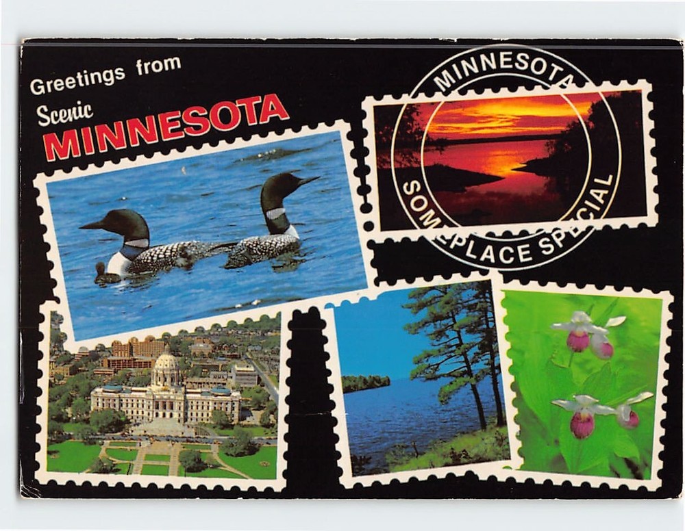 Postcard Greetings from Minnesota USA