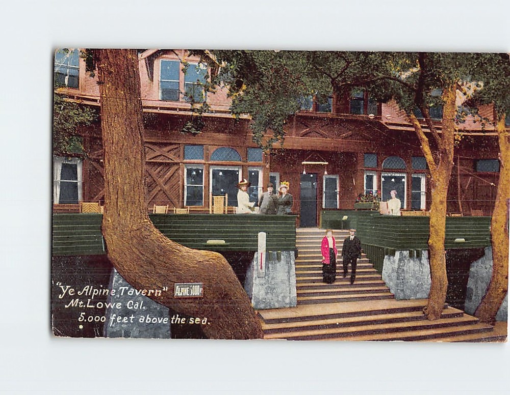 Postcard Ye Alpine Tavern Mount Lowe California USA